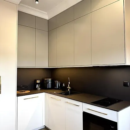 Toszeckie Lux Appartement