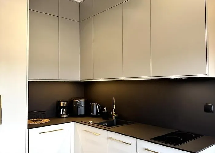 Toszeckie Lux Apartamento